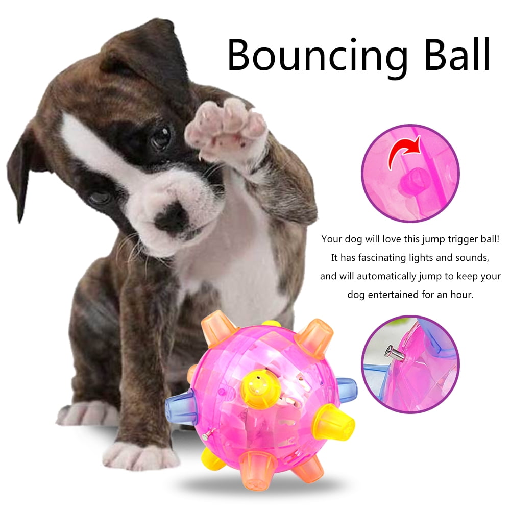 Dog Jumping Active Ball