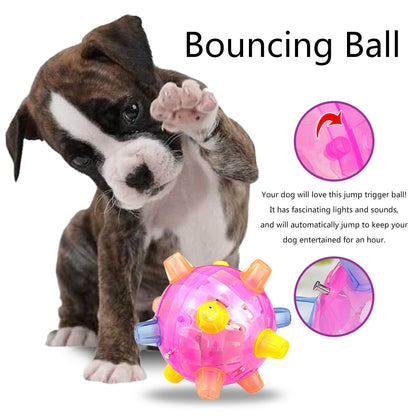 Dog Jumping Active Ball