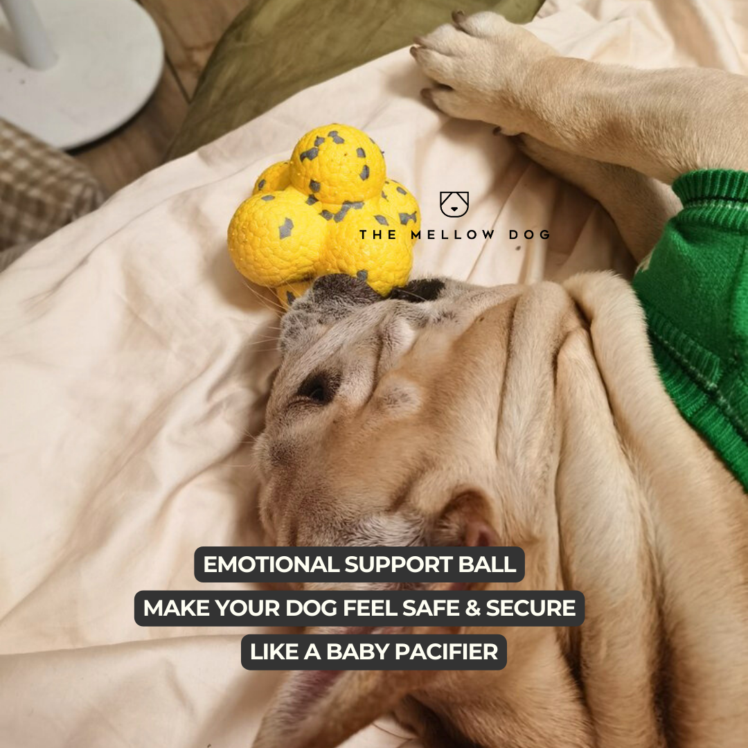 Calming Ball (2 Balls)