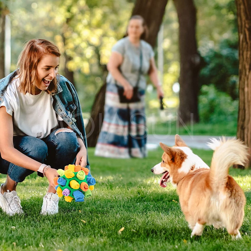 Dog Sniffle & Hunting Bundle