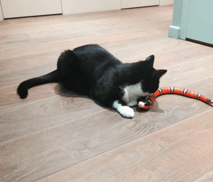 Interactive Snake Toy