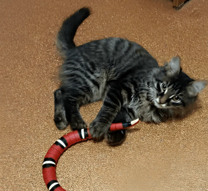 Interactive Snake Toy