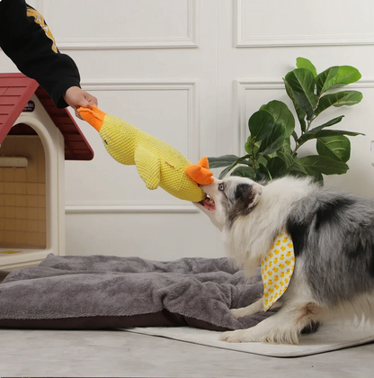 Quack-Quack Dog Duck Toy