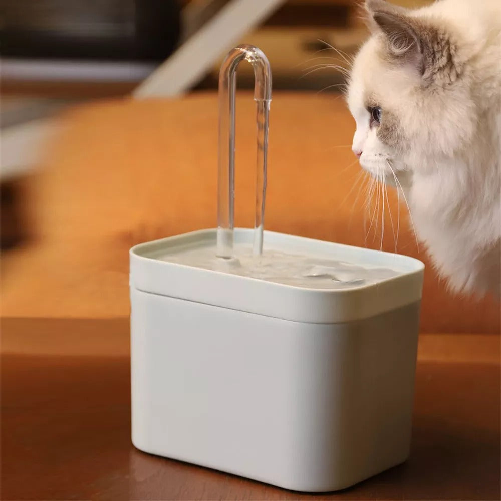 Cat Fountain With Waterflow Filter